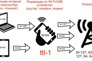 Схема работы TTL-пакетов