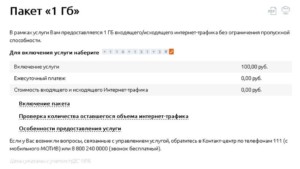  Плюс «Мотива» в том, что можно добавить себе трафика дополнительными пакетами