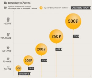  Цена на территории России