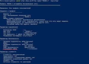  Проверка через оболочку PowerShell