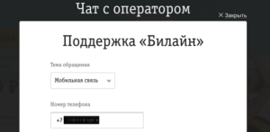  Если не открывается главная страница USB-модема «Билайн-4G», то нужно обратиться в поддержку.